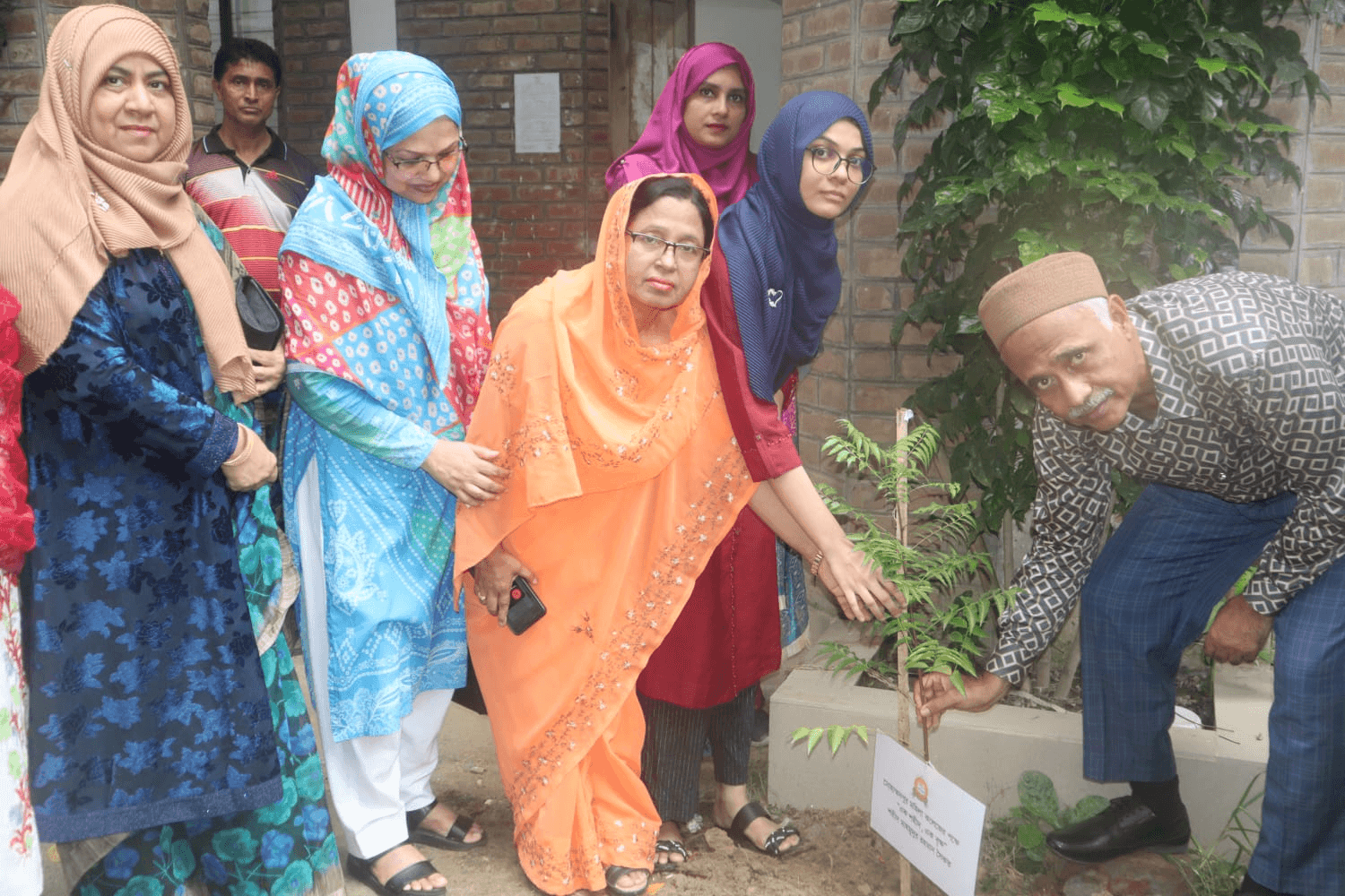 Tree Plantation for July 24